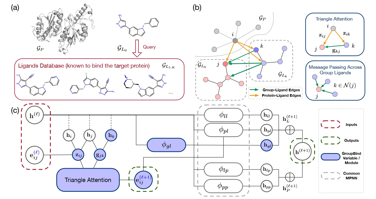 Group Ligands Docking to Protein Pockets