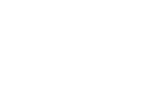 Categorical Flow Matching on Statistical Manifolds